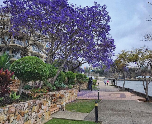 ベッBルーム ビューティフル リバー リトリート プール ワイン ジム ネトフリIックス