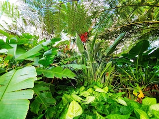 ベッBルーム フード ドリンク ハブ ジム プール ビューズ ルーフ テラス