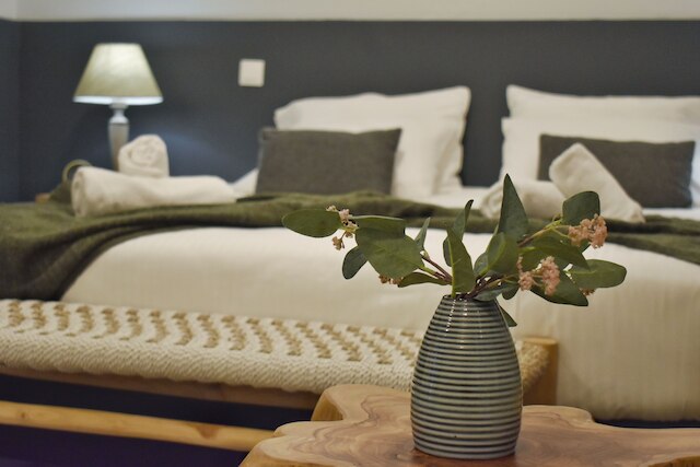 ウィンドウ トゥ アクロポリス