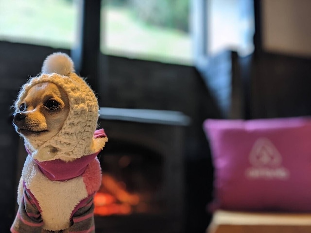 ザ・ニンジャマンション