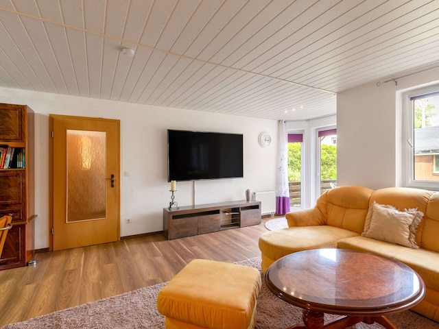 ドレスデンのピースフル ガーデン フラット