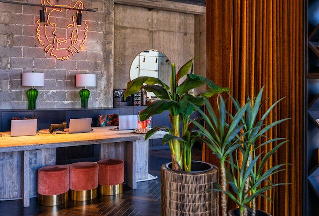 ブラウン マハネ イェフダ