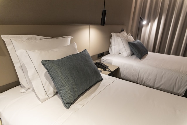 オミッド サルダーニャ ホテル