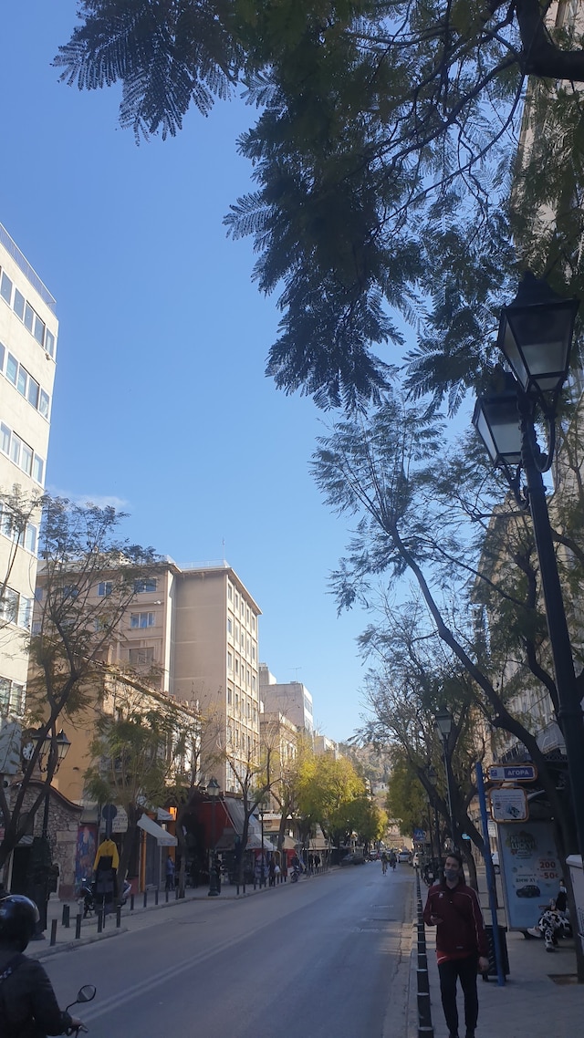 アテネ アパートテル ボックス