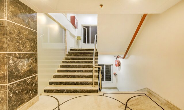 トリーボ プレミアム タフーラ インターナショナル