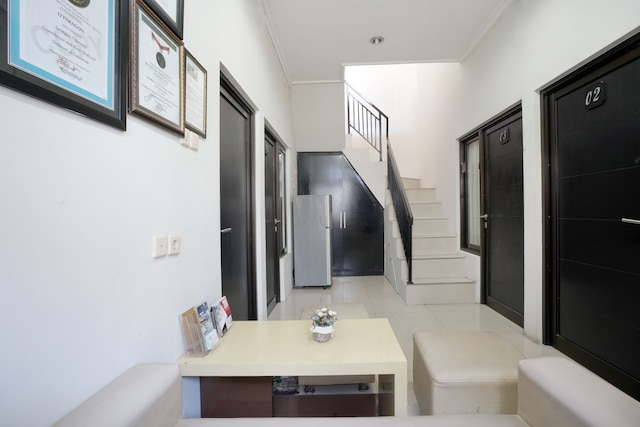 ドパラゴン パメラ 1