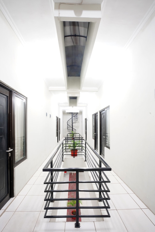 ドパラゴン ドゥコラ