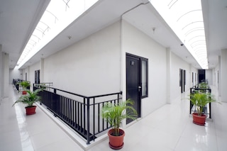 ドパラゴン ドゥコラ