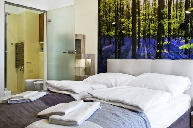 P&O アパートメンツ ヤャナ カジミエルサ