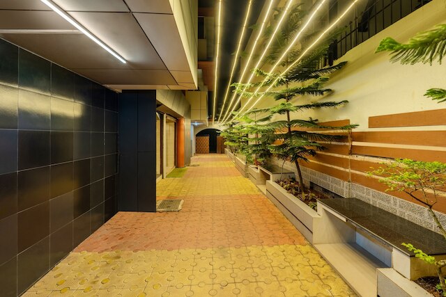 トリーボ サンヘッズ