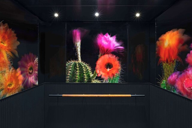 トミー オースティン パート オブ JDV バイ ハイアット