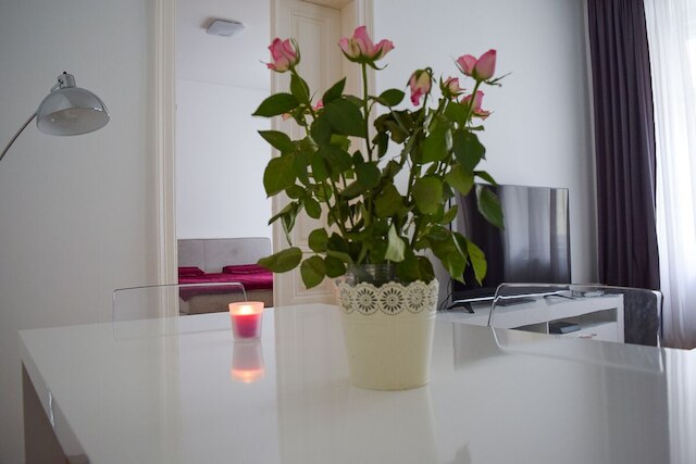 モダン アパートメント イン ウィーン ニア ダヌベ