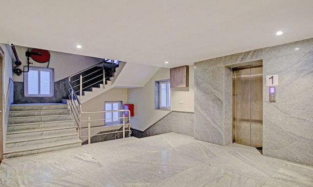 ツリーボー アスル プライム、ガリアハット