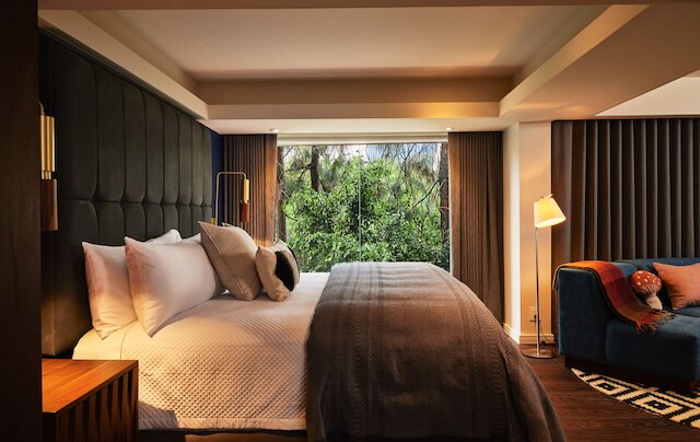 カンポス ポランコ