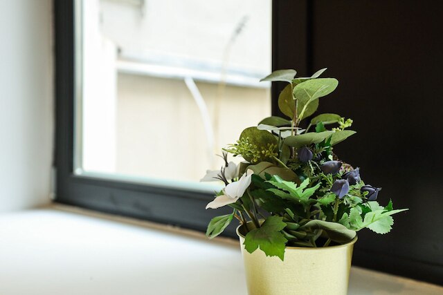 アウガルテン アパートメンツ