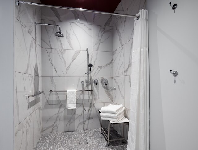 キャノピー バイ ヒルトン シカゴ セントラル ループ