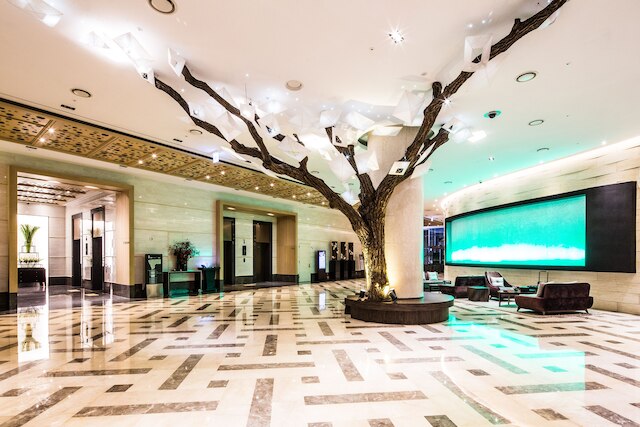 ソノ カーム コヤン