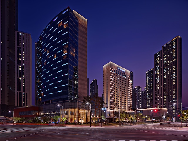 ソノ カーム コヤン