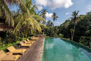 ペルティウィ ビスマ 1