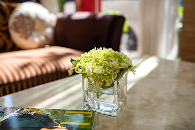 ネスタ・ホテル・ハノイ