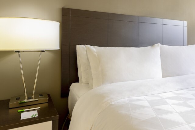 ホリデイ イン パナマ ディストリート フィナンシエロ by IHG