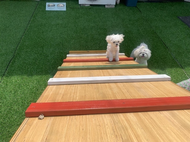 レックスホテル