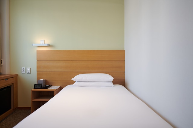 ナインツリーバイパルナスソウル明洞 1