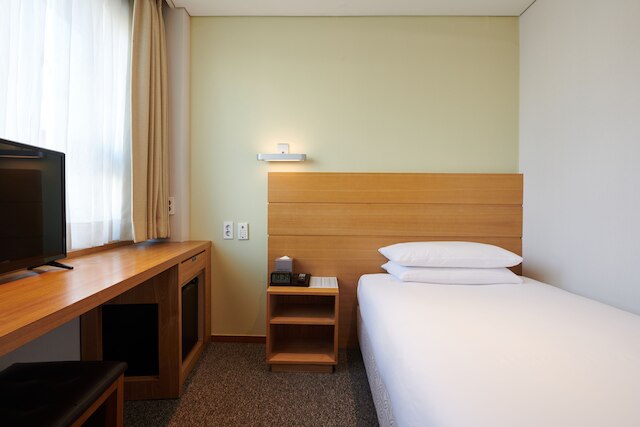 ナインツリーバイパルナスソウル明洞 1