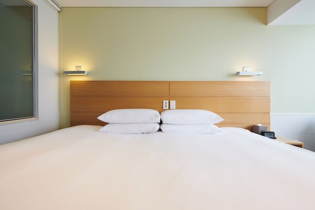 ナインツリーバイパルナスソウル明洞 1