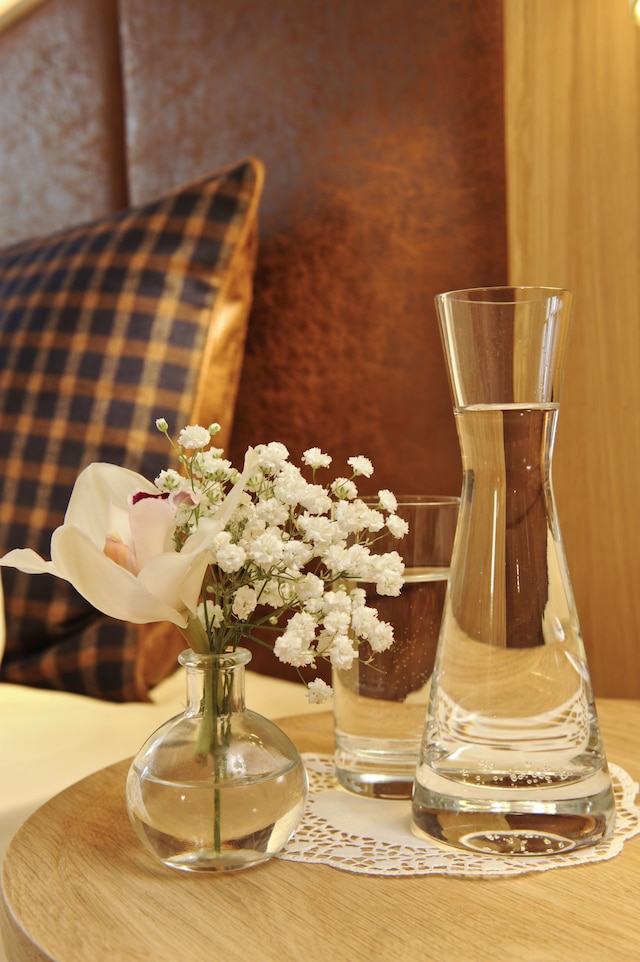 ホテル ブラウアー ボック