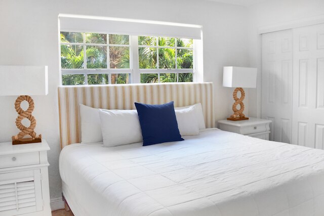 コーラル リーフ アット キー ビスケーン