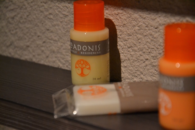 アドニス オテル バイヨンヌ