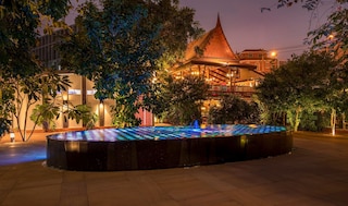 シュガー ハット 1984