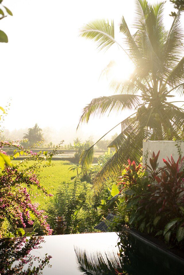 ウブドパディビラ