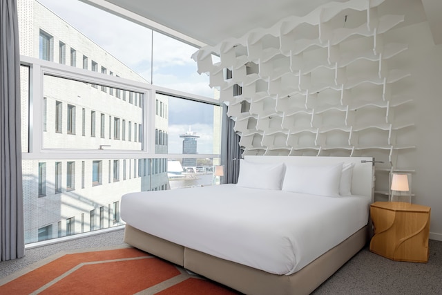 ルーム メイト アイタナ, アムステルダム