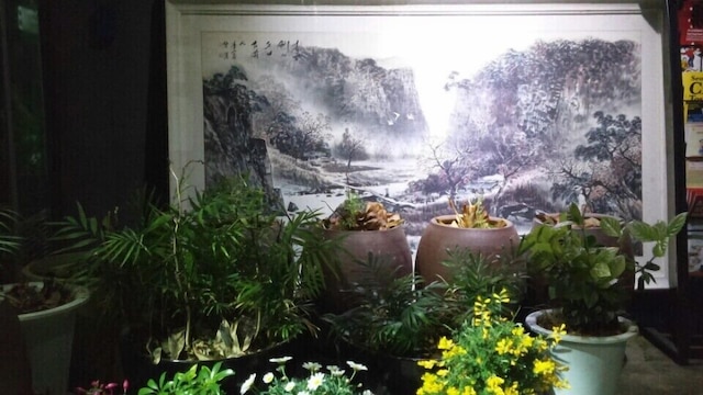 オッパホステル シンチョン ホンデ/OPPA Hostel Sinchon Hongdae