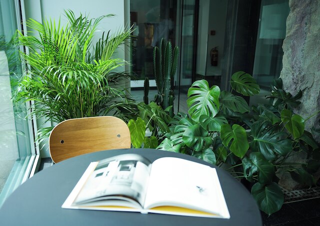 ampm オテル シェーンブルン