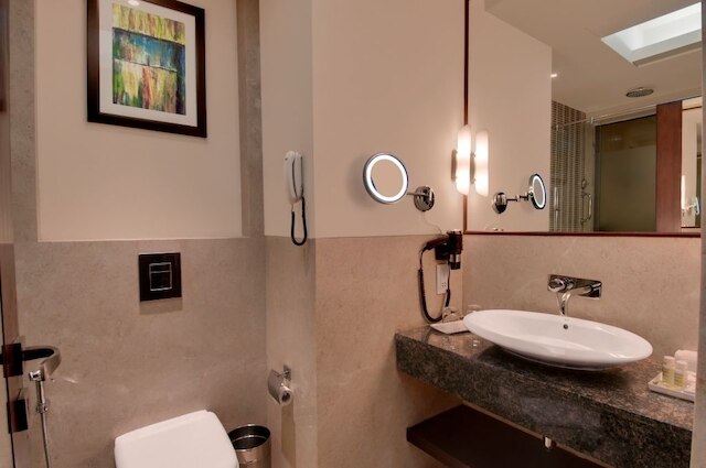 ザ ゴールデン パームズ ホテル & スパ デリー