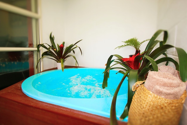 カプリ オン フェントン