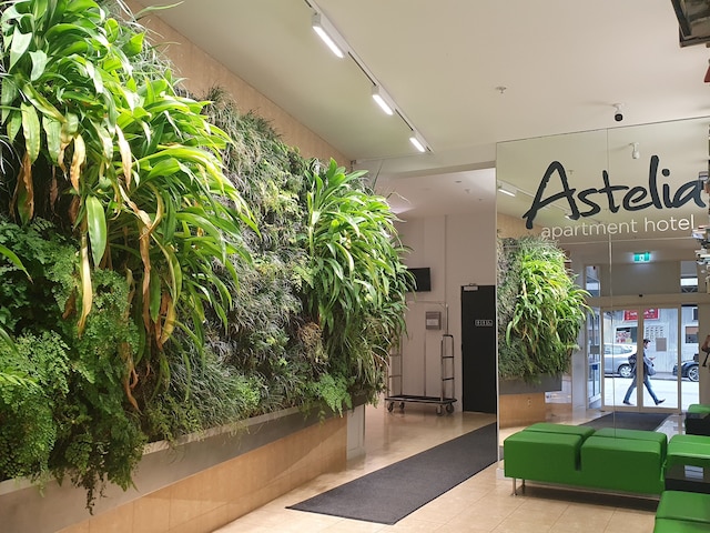 アステリア アパートメント ホテル