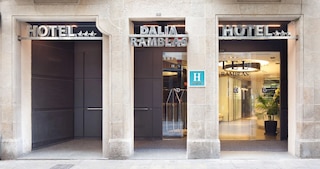 ダリア ランブラス