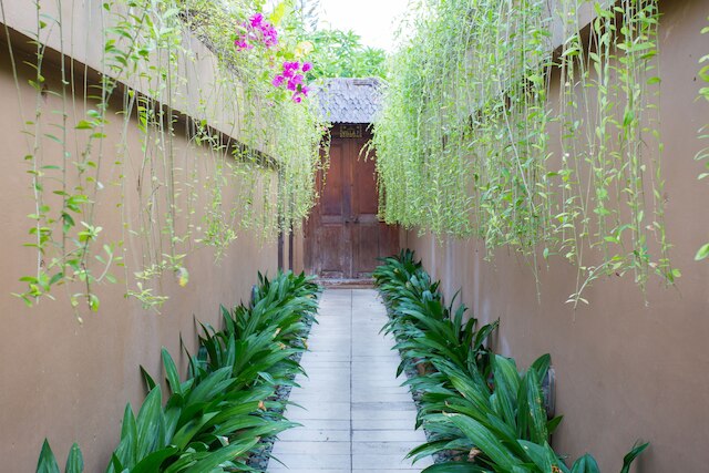 ディアナ ヴィラズ