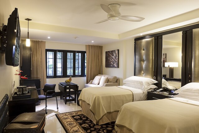 テラ ノヴァ, BW プレミア コレクション