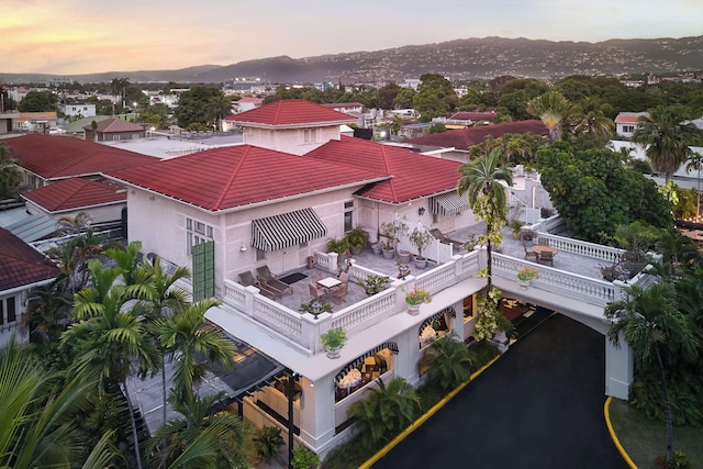 テラ ノヴァ, BW プレミア コレクション