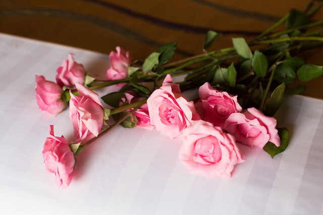 ヴラ セリスカ ドゥア サヌール バリ