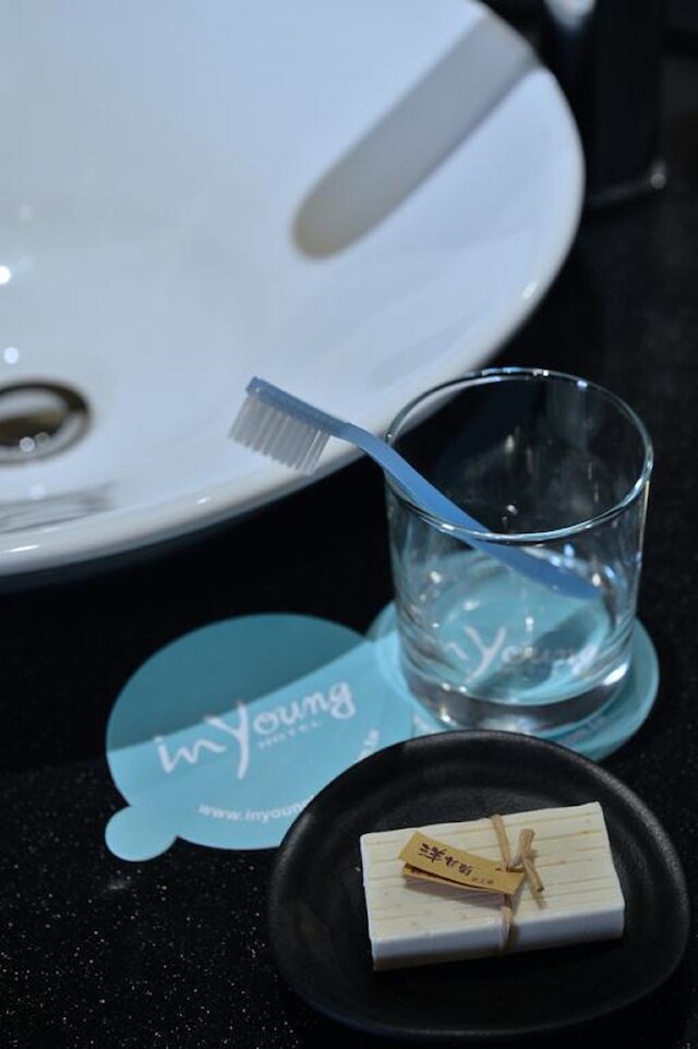 イン ヤング ホテル