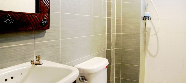 アイボリー ピピ アイランド