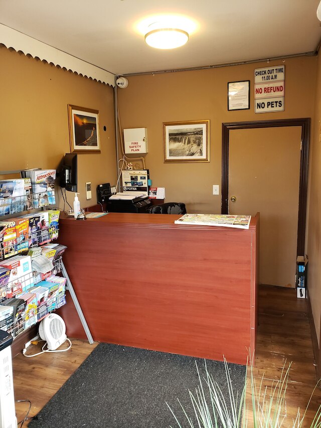 ファルコン イン