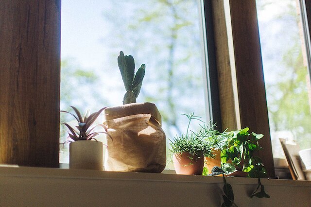 ザ コーナー ロンドン シティ