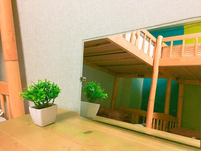 iCOS ゲストハウス 1 フォーフィメール - ホステル